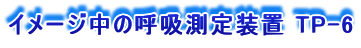 C[W̌ċz葕u TP-6
